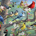 ציפורים צבעוניות ביער